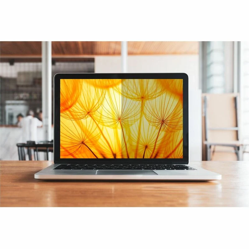Filtre de confidentialité 3M Bright Screen pour Microsoft Surface Pro Noir, Mat BPTMS001