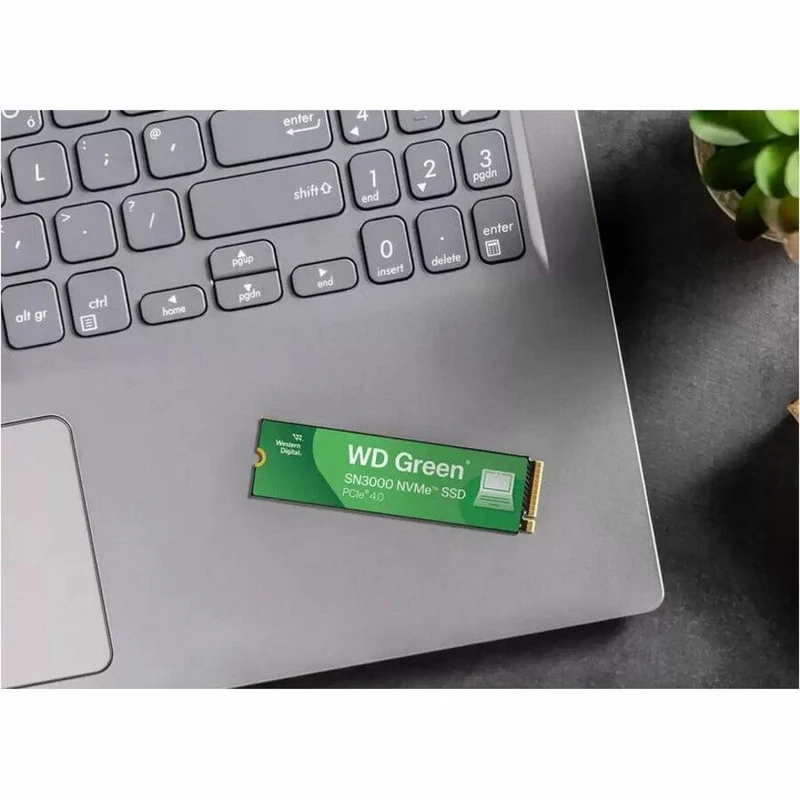 Disque SSD WD Green SN3000 WDS200T4G0E-00CPS0 2 To - M.2 2280 interne - PCI Express NVMe (PCI Express NVMe 4.0 x4) WDS200T4G0E-00CPS0
