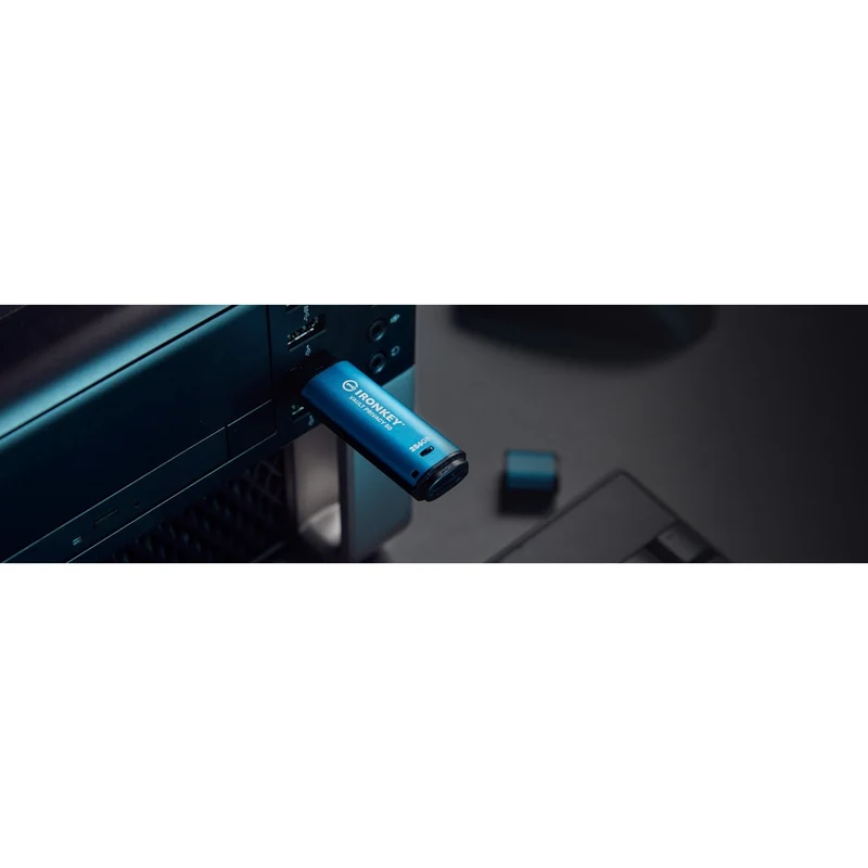 Clé USB 50 (Gen 256) Type A IronKey Vault Privacy 3.2 Series 1 Go IKVP50/256 Go