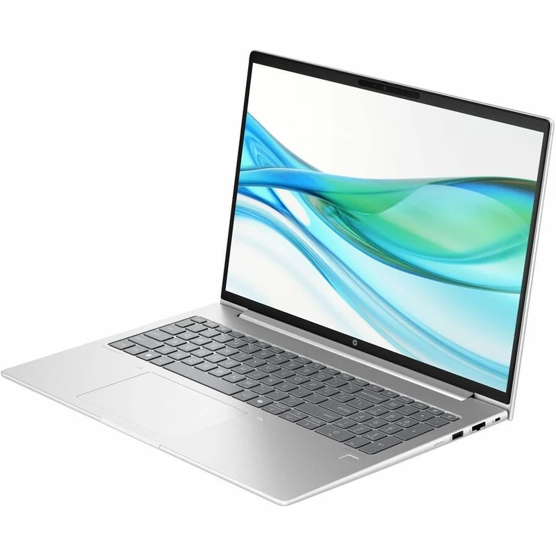 Ordinateur portable HP ProBook 465 G11 16" - WUXGA - AMD Ryzen 5 7535U - 16 Go - SSD 512 Go - Clavier anglais - Pike Silver A92P2UT#ABA